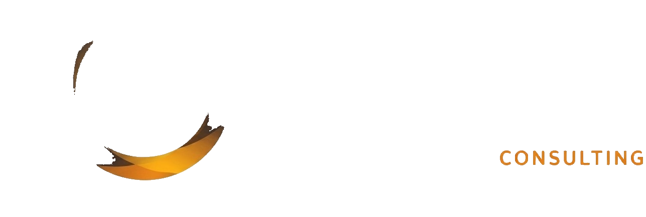Dynacon Consulting